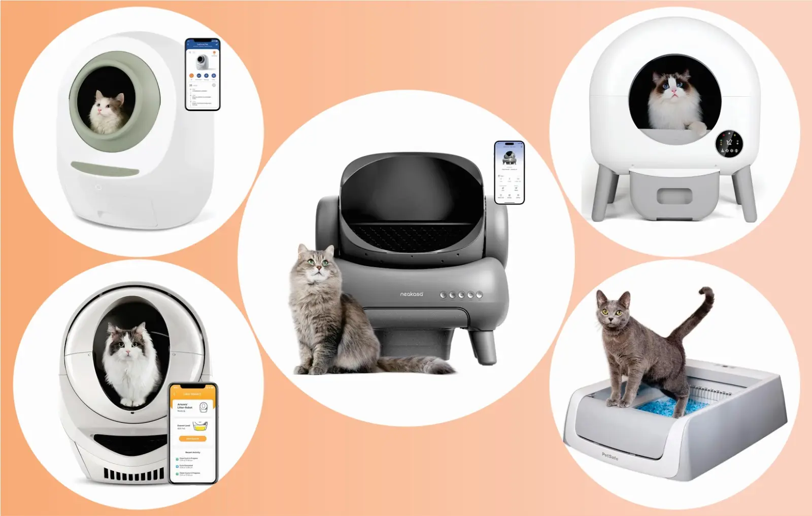 Read more about the article The 5 Best Automatic Litter Boxes of 2024, Tested and Reviewed