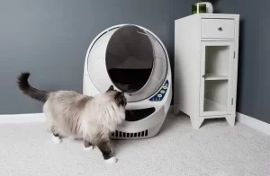 Read more about the article Litter Robot 3 Connect Review (after 1 year of use with Multiple cats!)